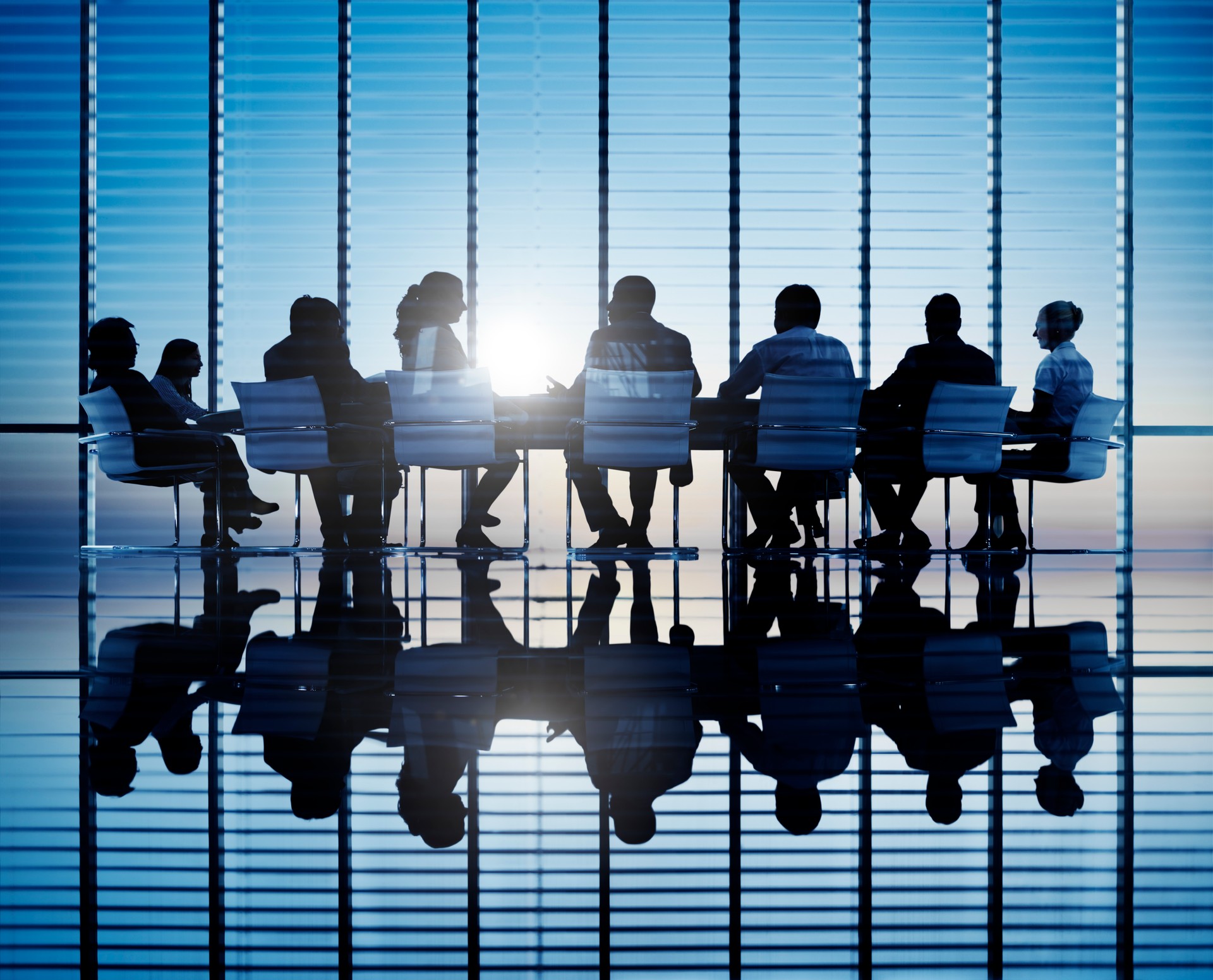 Silhouettes Of Business People In A Conference Room